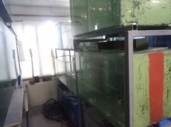 Prodám akvária a vybavení odchovny - 7