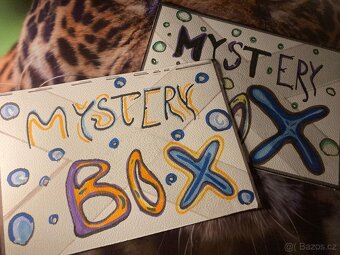 Mystery box - 7