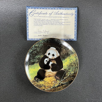 Sběratelský dekorační talíř Panda 21.5 cm, Will Nelson - 7