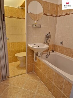 Pronájem bytu 1+1 33 m2 U Štěpnického rybníka, Telč - 7