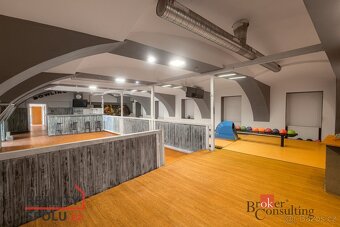 Prodej, komerční/obchodní prostory, 372 m2, U Elektrárny 794 - 7