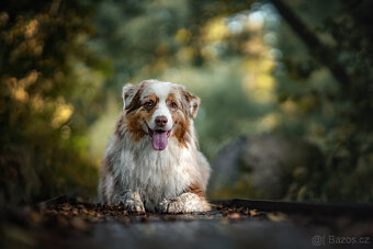 Meopta Meostigmat 92/1,7 Sony E a další - 7