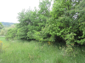 NA PRODEJ - POZEMKY 2.006 m2, BOŠOVICE U ČÍŽOVÉ (PÍSECKO) - 7