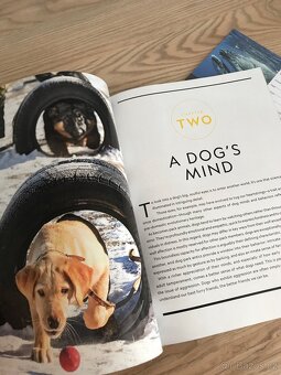 National Geographic • The Genius of Dogs • Why We Love Caffe - 7
