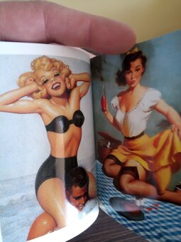Pin Ups Taschen / art Book - 7