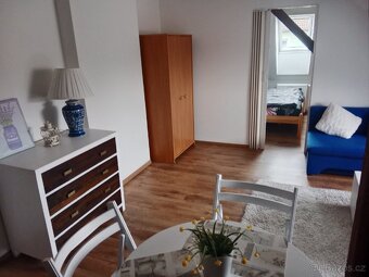 Pronájem 1+kk a 2+kk - 7
