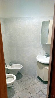 Pronájem, byt 3+kk, 100m2, Teplice, Ruská ul. - 7