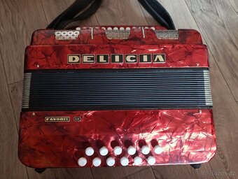 Tahací harmonika DELICIA Favorit III (3) - 7