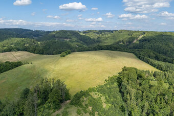 Prodej souboru zemědělských pozemků, 73 836 m², Městečko Trn - 7