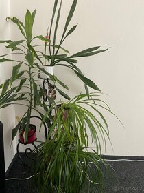 Kovové stojánky na kytky - ruční výroba - 7