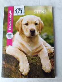 Čivava šarpej Leonberger Baset Dobrman - 7