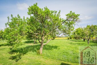 Prodej stavebního pozemku 2.194 m2, obec Němčice, okres Mlad - 7