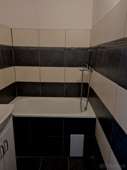 Pronájem bytu 2+1 s balkonem - 7