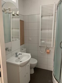 Pronájem bytu 1+1kk Janske Lazne - 7