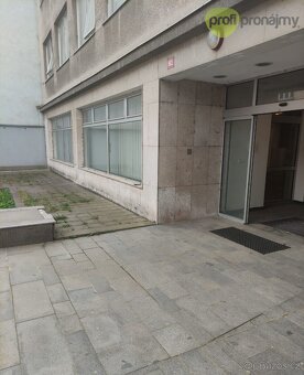 Pronájem obchodního prostoru 171 m² - 7