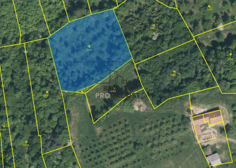 Prodej ovocného sadu 4 253 m2 v Koryčanech - 7