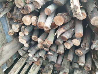 Dřevo - 7