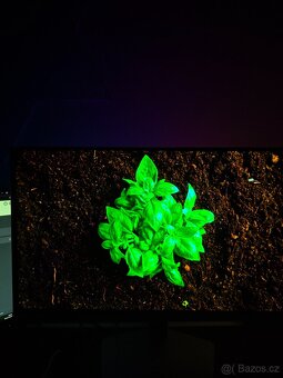 27" OLED Samsung Odyssey G6 360Hz - 7