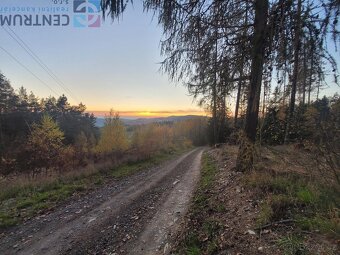 Prodej pozemku v blízkosti obce Bzí u Železného Brodu - 7