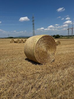 Pšeničná slama guľaté baliky - 7