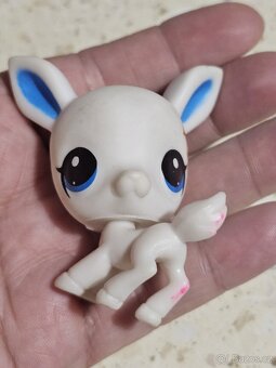 Zvířátka alá lps - 7