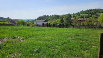 Stavební pozemek Jílové u Držkova - 4564 m2 - 7