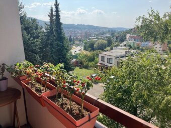 1+kk pronájem Zlín - komplet vybavený - 7