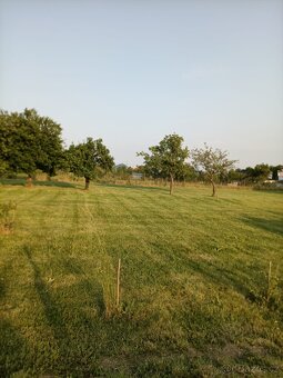 Pronajmu zahradu v Podsedicích, okr.Litoměřice - 7