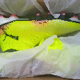 Kopačky Puma Future 8 pro fg/ag 43 - 7