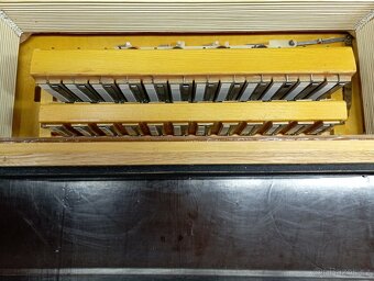 Delicia Carmen lll,96 bas - 7