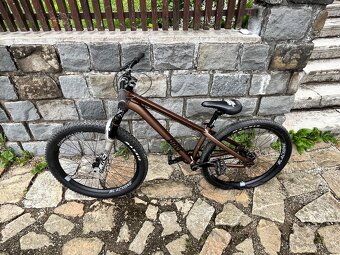 ROSE THE BRUCE 2 (2023) M - 7