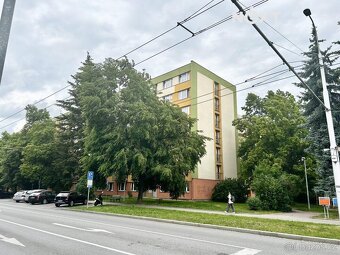 Pronájem byt 1+1, 34㎡ - 7