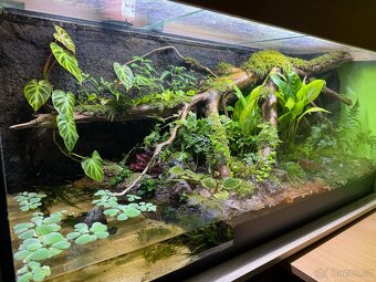 Terárium / Paludárium 110x45x50 - 7