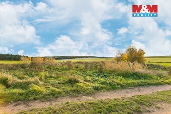 Prodej louky, 672 m², Vysoká Libyně - 7