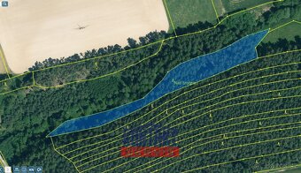 Prodej unikátních lesních pozemků v katastrálním území Hodyn - 7