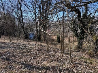 Prodej stavebního pozemku, 5589 m², U Sv. Rocha, Zlaté Hory. - 7