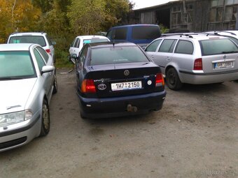 polo clasic - 7