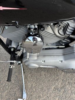 Harley Davidson Softail - 7