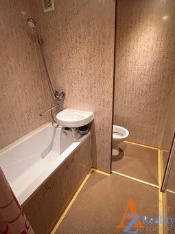 Nabízíme pronájem bytové jednotky 1+1, v ulici Š. Pěšina, Ch - 7