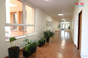 Pronájem kancelářského prostoru, 38 m², Ostrov, ul. Klínovec - 7
