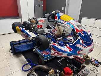motokára ROK GP MS BLUE PHOENIX + motor - 7