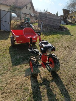 TERA VARI GLOBAL - 7