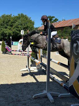Šikovná pony klisna kat. A na prodej - 7