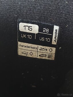 Přeskáče alpina - 7