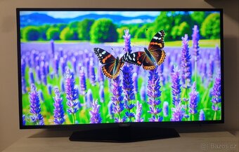 PHILIPS SMART TV UHD 4K 50"(127CM) - 7