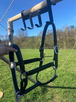 Kožená ohlávka Equestro černá vel. FULL - 7