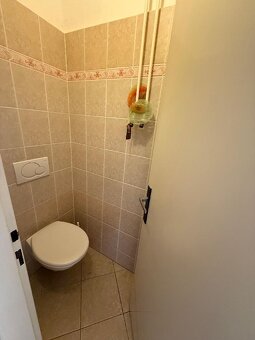 Prostorný cihlový byt 3+1, 96m2, sklep, Černá Pole - 7