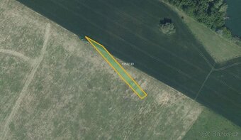 Zemědělská půda, prodej, Moravská Nová Ves, Břeclav - 7