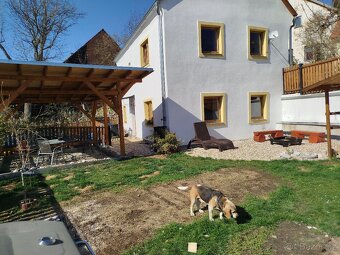 Prodej rodinného domu  5+1 Pacov - 7