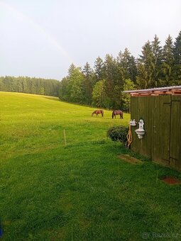 Pastevní ustájení - 7